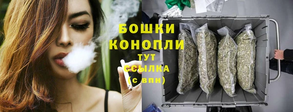 сатива Новый Уренгой
