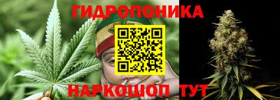 дмт Аргун