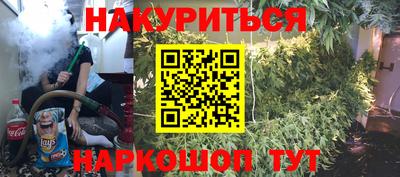 дмт Аргун