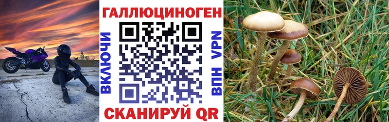 кракен   Видное  Галлюциногенные грибы MAGIC MUSHROOMS 
