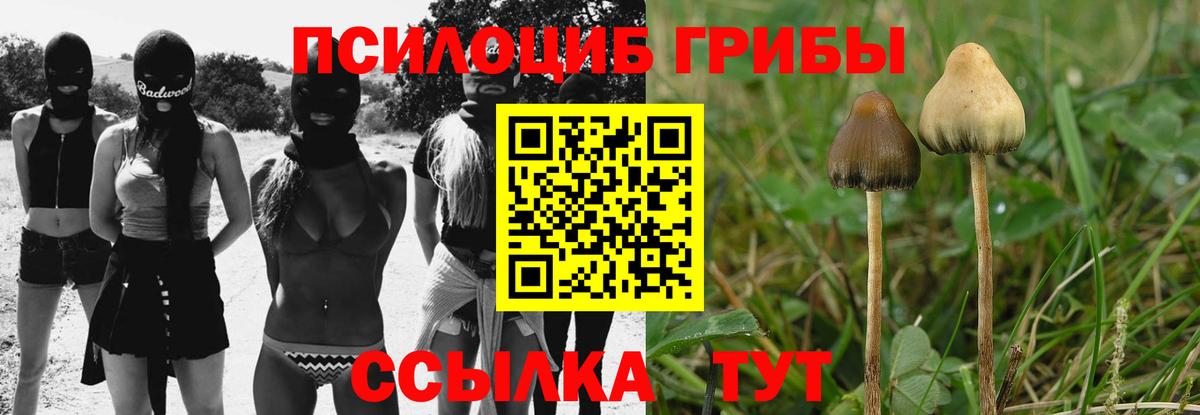 Галлюциногенные грибы прущие грибы  Вход с VPN  Видное  Галлюциногенные грибы мицелий 
